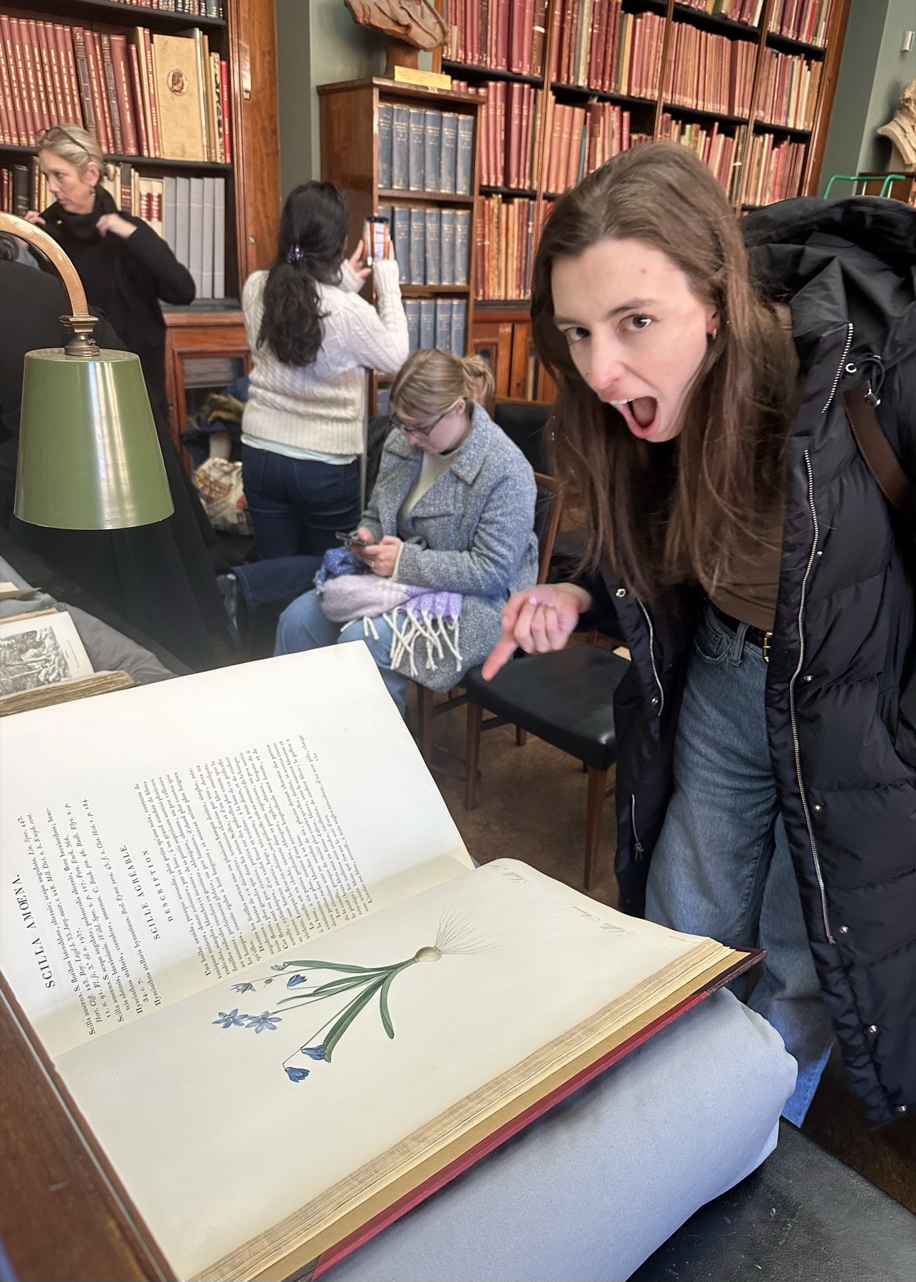 National Art Library at the Victoria & Albert Museum, January 2026